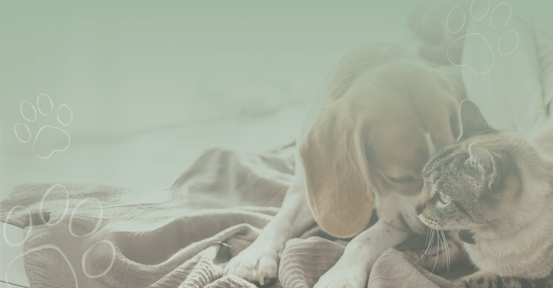 Centro Veterinario <br> Leal-Márquez