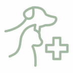 noun-vet-6892115-A2B8A1 (1) noun-vet-6892115-A2B8A1 (1)