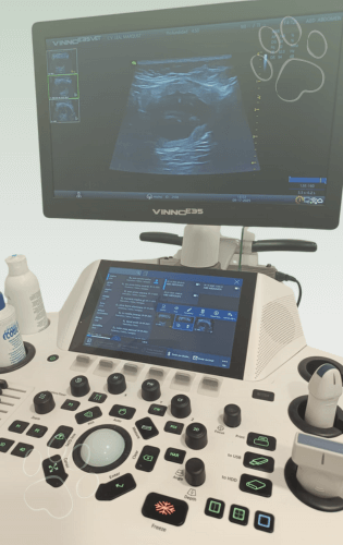 Diagnóstico por imagen