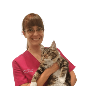 Medicina felina, Odontología y Cirugía