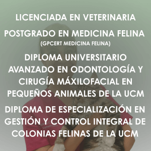 Medicina felina, Odontología y Cirugía