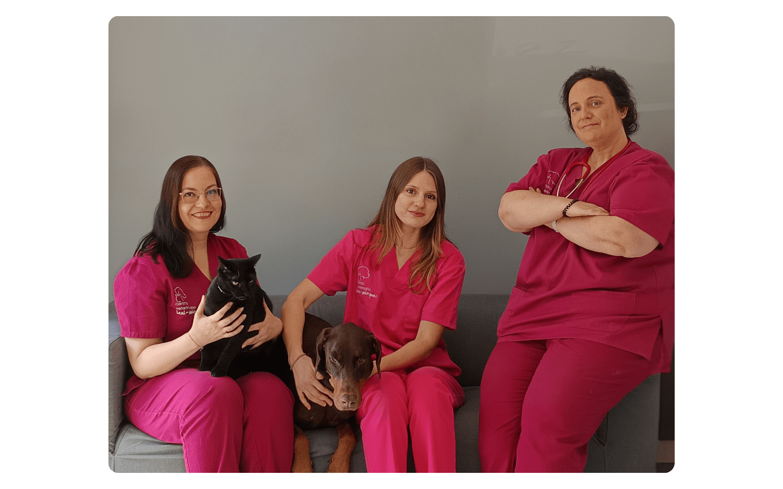 Equipo Veterinario Centro Veterinario Leal - Márquez Equipo Veterinario Centro Veterinario Leal - Márquez