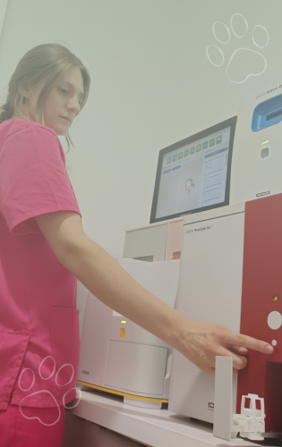 Análisis clínicos con laboratorio propio